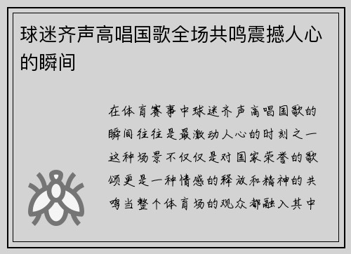 球迷齐声高唱国歌全场共鸣震撼人心的瞬间