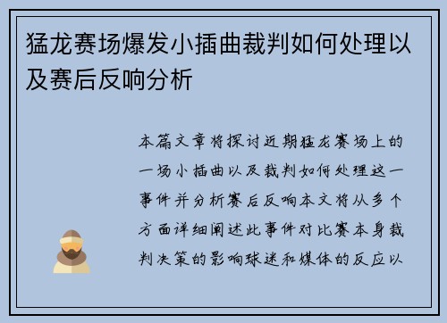 猛龙赛场爆发小插曲裁判如何处理以及赛后反响分析 猛龙赛场爆发小插曲裁判如何处理以及赛后反响分析